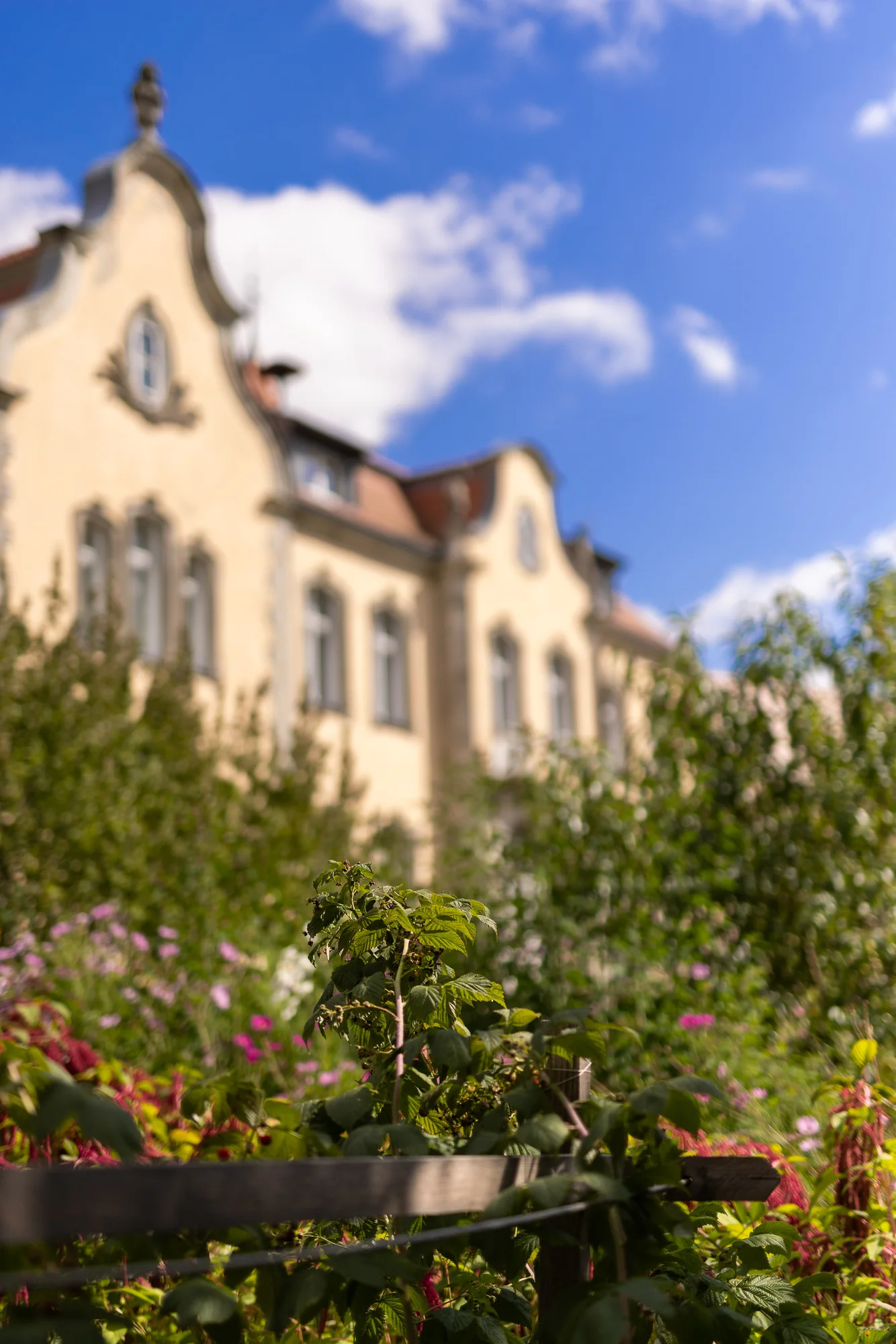 Das Haus der Villa Oiva hinter einer wild bewachsenen Blumenrabatte unter blauem Himmel